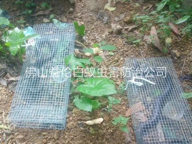 和顺驱蛇防蛇工程