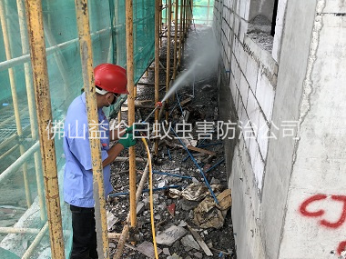 范湖建筑白蚁预防工程