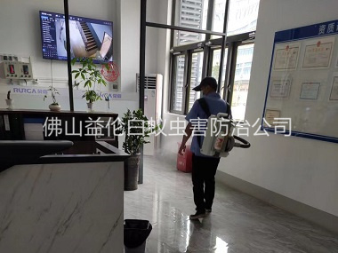 云东海室内杀灭蚊蝇工程