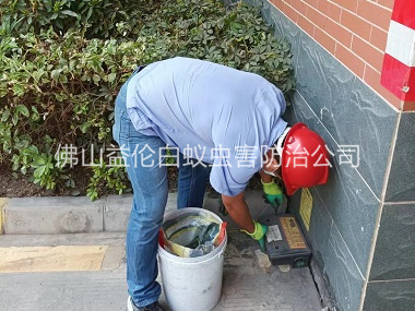 大沥安装灭鼠器工程
