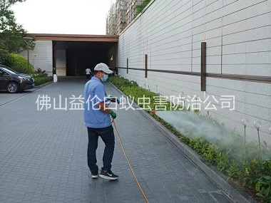 丹灶企业厂区消杀蚊蝇工程