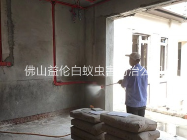 大沥装修预防白蚁工程